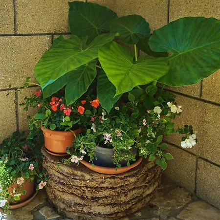 Tatjana Appartamento Rab Town